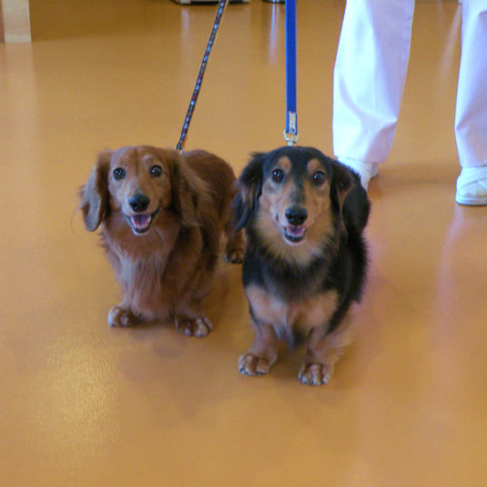 ムーンちゃん＆クウちゃん