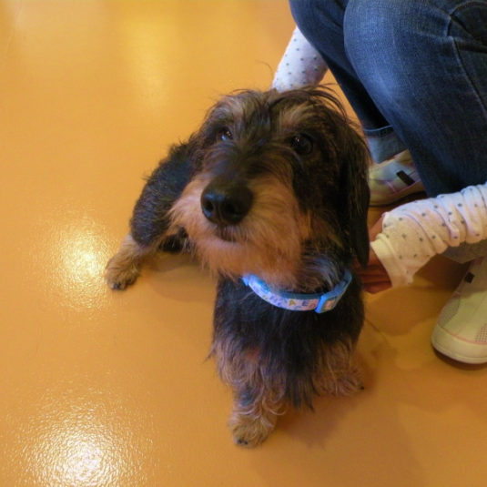 レックルちゃん