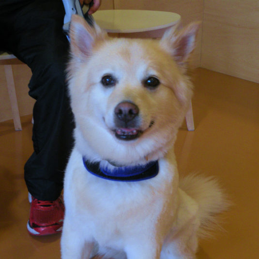 カンクローちゃん