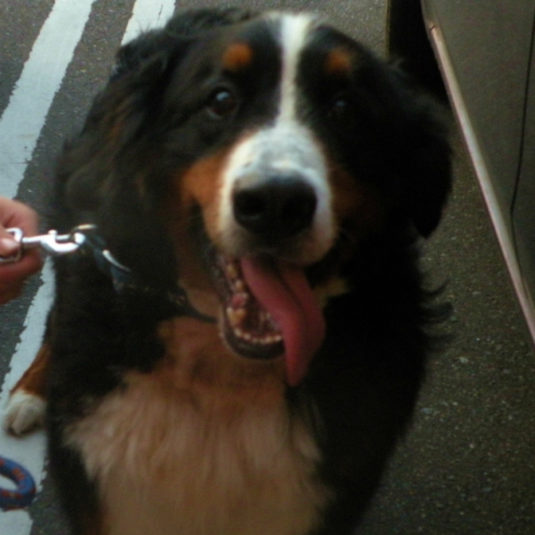 ウィンザーちゃん