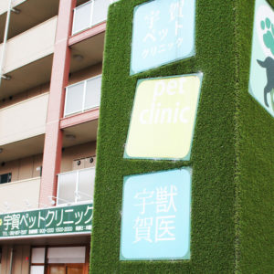 宇賀ペットクリニック